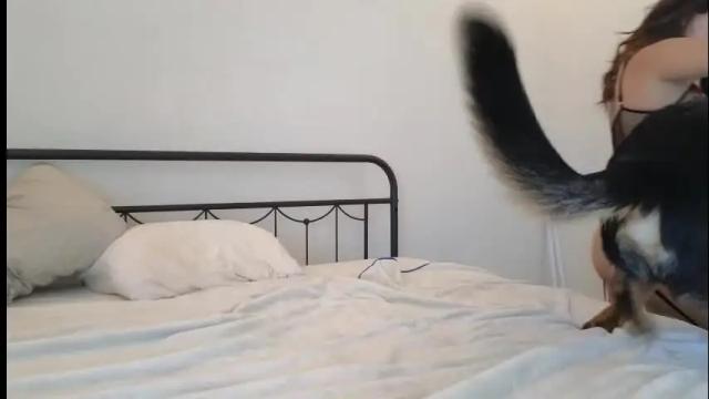 Image 6 of nakedpaint245477 Stream on Chaturbate on 15 days ago
