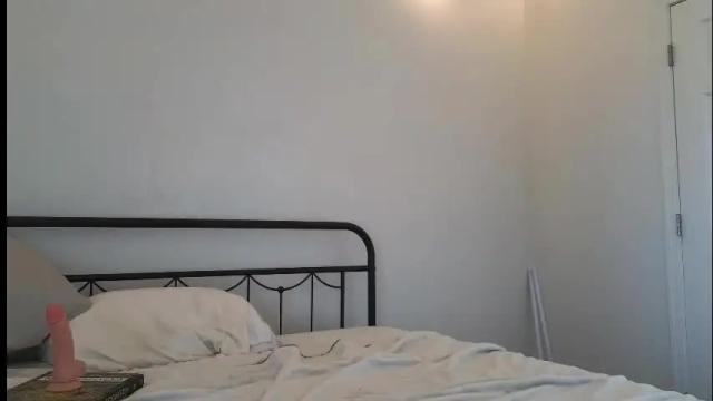 Thumbnail 3, nakedpaint245477's Stream at Chaturbate, 12 days ago