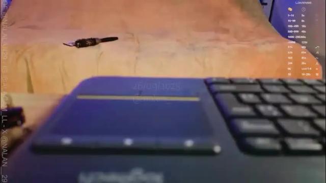 Image 10 of nalan_ Stream on Chaturbate on 21 days ago