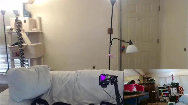 Image 8 of nannabaldur Stream on Chaturbate on 2 months ago