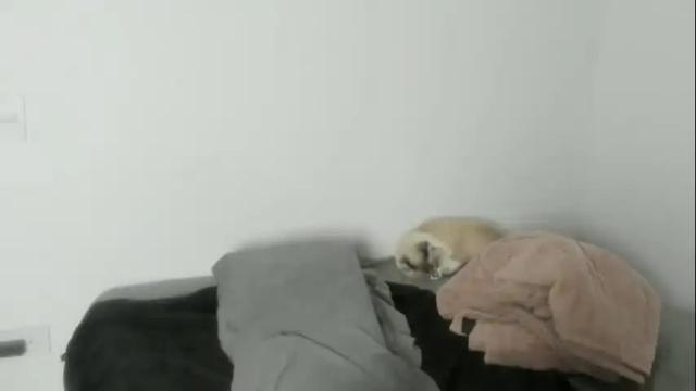 Thumbnail 2, naomimoore's Stream at Chaturbate, 18 days ago