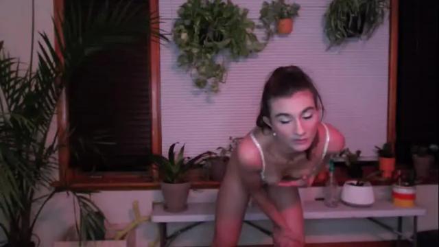 Image 10 of narcissus_echo Stream on Chaturbate on 1 month ago