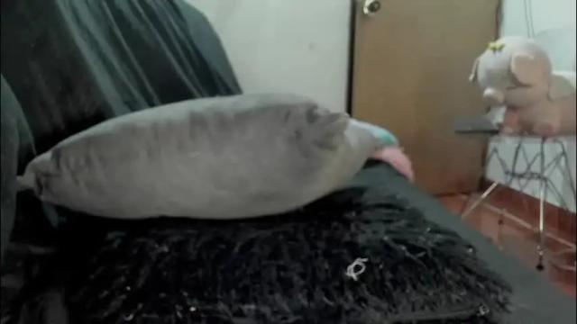 Thumbnail 1, nasha__brown's Stream at Chaturbate, 1 month ago