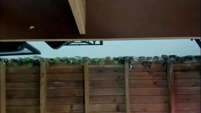 Image 10 of nasha__brown Stream on Chaturbate on 20 days ago