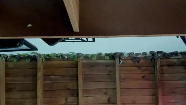 Image 8 of nasha__brown Stream on Chaturbate on 20 days ago