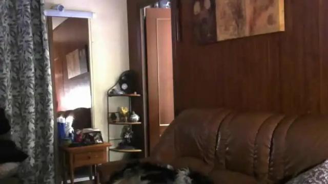 Image 12 of natachaferrer Stream on Chaturbate on 17 months ago