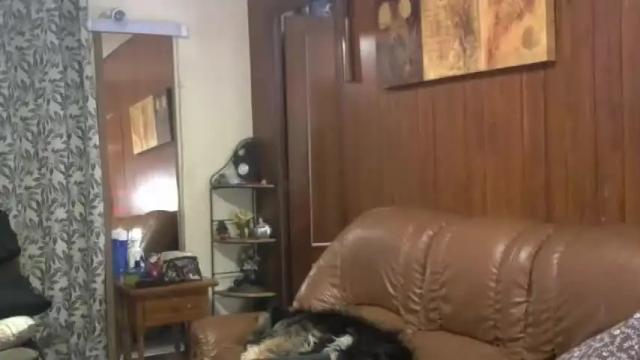 Image 3 of natachaferrer Stream on Chaturbate on 17 months ago