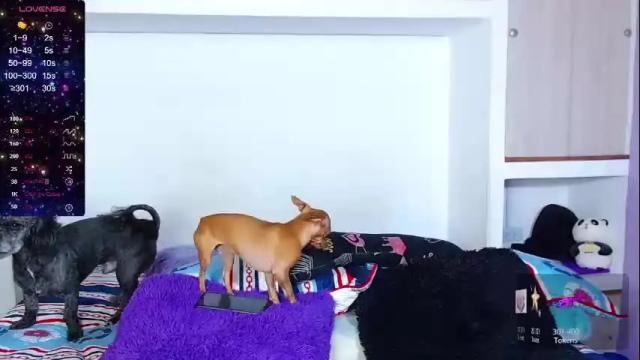 Thumbnail 1, natalia_hornyxx's Stream at Chaturbate, 1 month ago