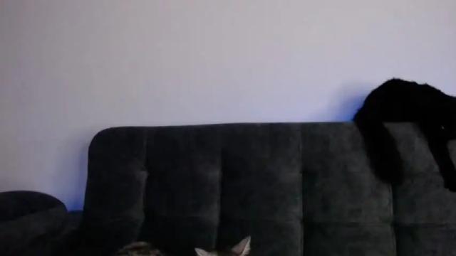 Image 10 of nataliarivera03 Stream on Chaturbate on 16 months ago