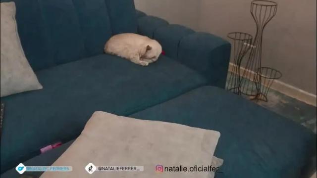 Thumbnail 1, natalieferrer_'s Stream at Chaturbate, 1 month ago