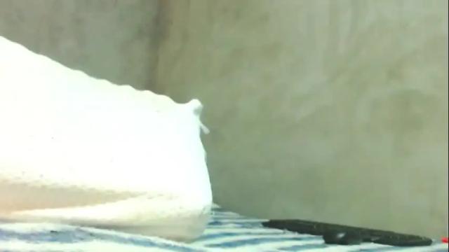 Image 12 of natasha_more4 Stream on Chaturbate on 1 month ago