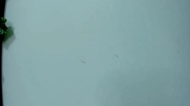 Image 12 of natasha_smith00 Stream on Chaturbate on 21 months ago