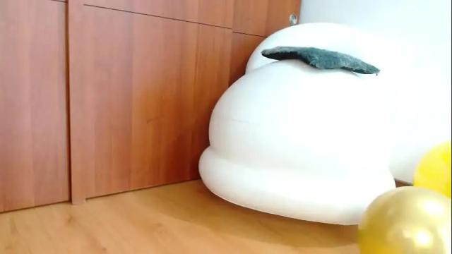 Image 4 of nath_dawson Stream on Chaturbate on 1 month ago