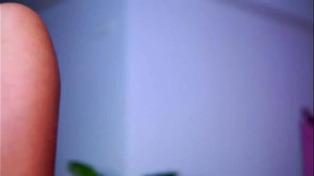 Thumbnail 2, natydesiree's Stream at Chaturbate, 7 days ago