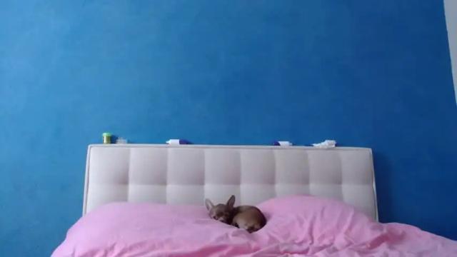 Image 3 of naughty_christie Stream on Chaturbate on 14 months ago