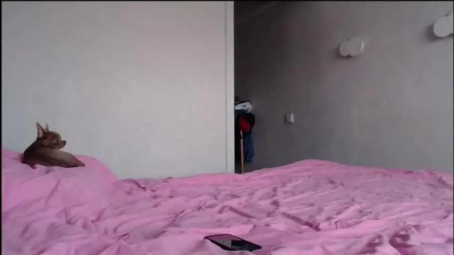 Thumbnail 2, naughty_christie's Stream at Chaturbate, 1 month ago