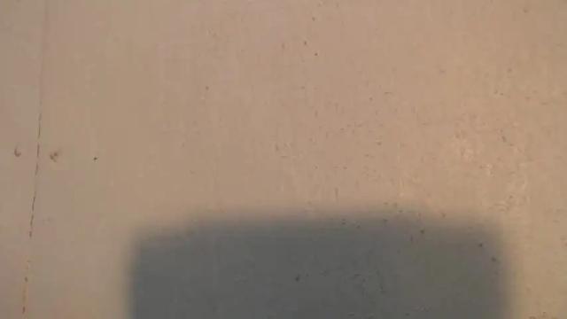 Image 2 of naughty_trexie17 Stream on Chaturbate on 16 months ago