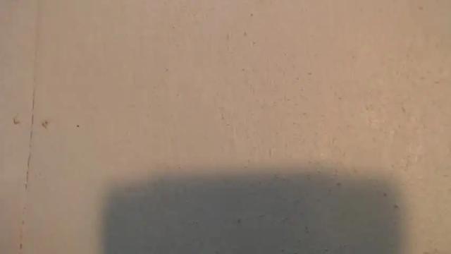 Image 3 of naughty_trexie17 Stream on Chaturbate on 16 months ago