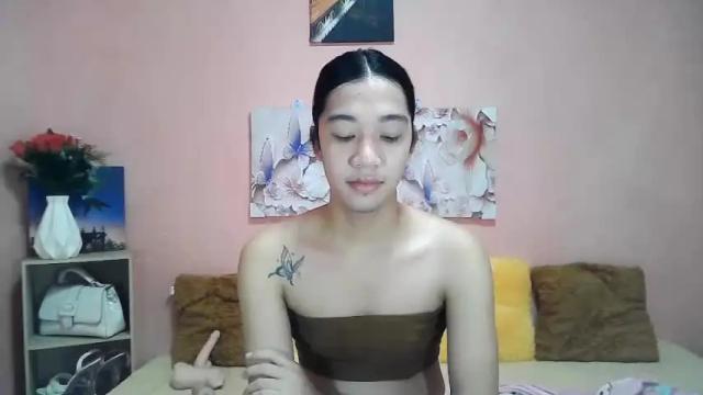 Thumbnail 1, naughtybarbiecock's Stream at Chaturbate, 18 months ago