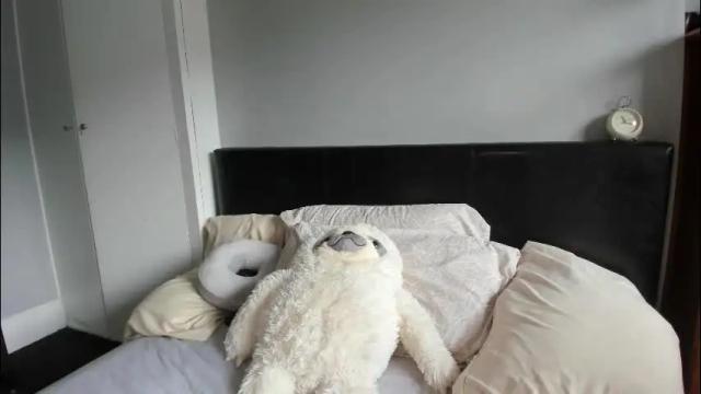 Image 8 of naughtynerdygirl Stream on Chaturbate on 3 months ago