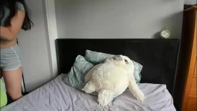 Image 12 of naughtynerdygirl Stream on Chaturbate on 2 months ago