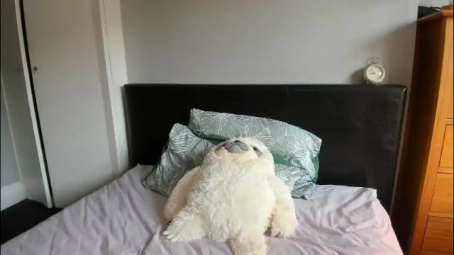 Thumbnail 3, naughtynerdygirl's Stream at Chaturbate, 2 months ago