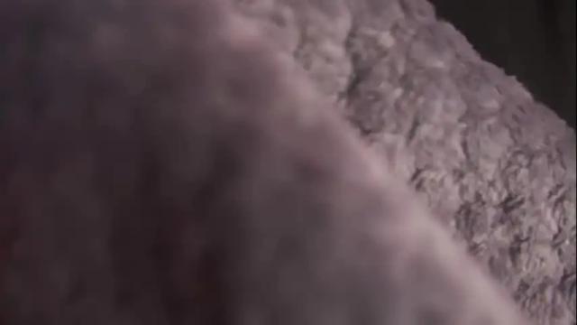 Image 7 of ne_fertari Stream on Chaturbate on 1 month ago