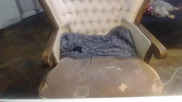 Image 4 of new_milf Stream on Chaturbate on 13 months ago