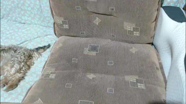 Image 11 of new_milf Stream on Chaturbate on 1 month ago