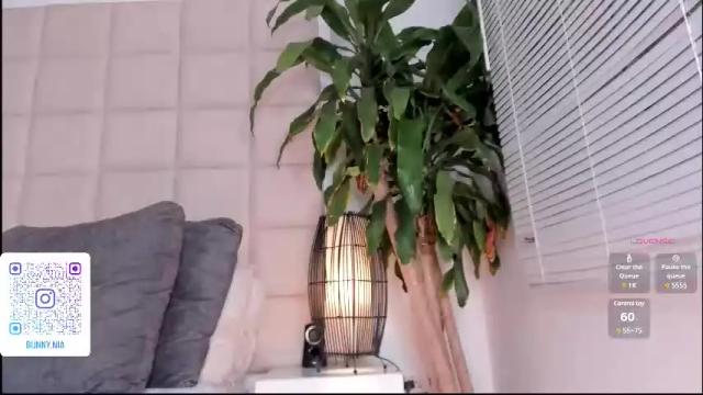 Thumbnail 3, nia_bunny's Stream at Chaturbate, 1 month ago