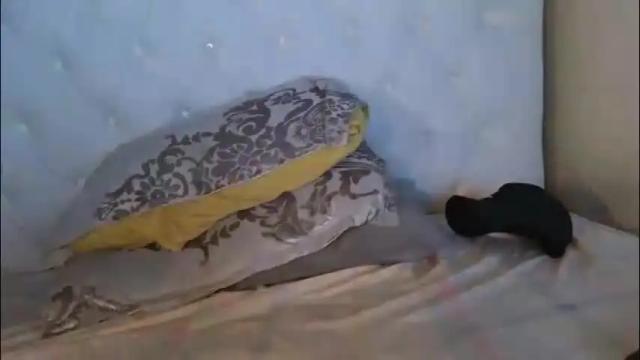 Image 2 of nicckah_ Stream on Chaturbate on 1 month ago