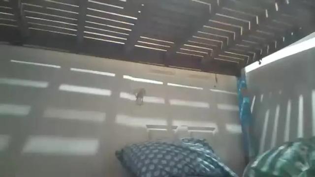 Image 3 of niceasianpussy Stream on Chaturbate on 9 days ago
