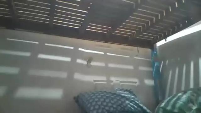 Image 4 of niceasianpussy Stream on Chaturbate on 9 days ago
