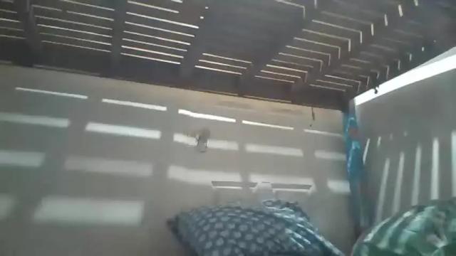 Thumbnail 2, niceasianpussy's Stream at Chaturbate, 8 days ago