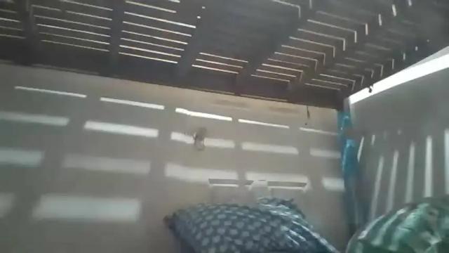 Image 7 of niceasianpussy Stream on Chaturbate on 9 days ago