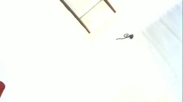 Thumbnail 1, nicklamama's Stream at Chaturbate, 1 month ago