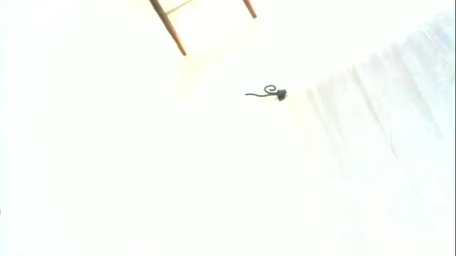 Image 4 of nicklamama Stream on Chaturbate on 1 month ago
