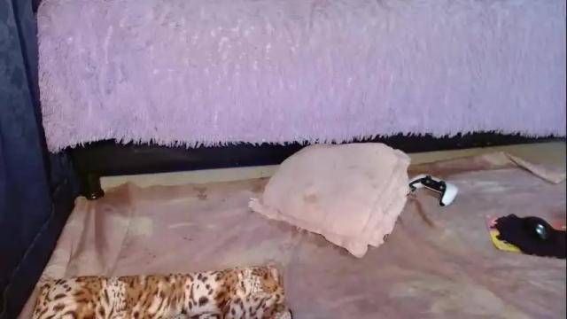 Image 3 of nicole_smithhh Stream on Chaturbate on 1 month ago