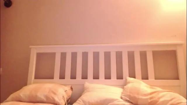 Image 8 of nightssecret Stream on Chaturbate on 1 month ago