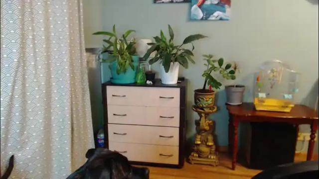 Image 11 of nika_black111 Stream on Chaturbate on 9 days ago