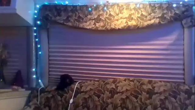 Image 12 of nikandvex Stream on Chaturbate on 22 months ago