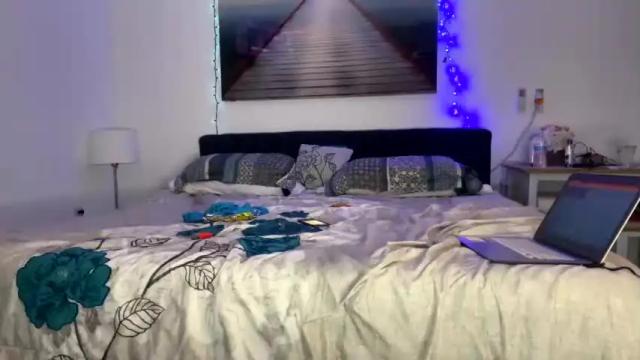 Image 4 of nikandvex Stream on Chaturbate on 21 months ago