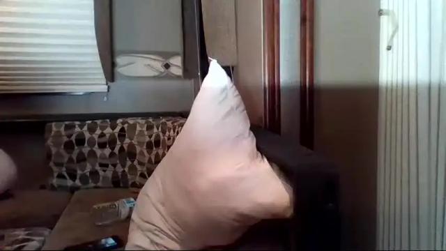 Image 6 of nikandvex Stream on Chaturbate on 20 months ago