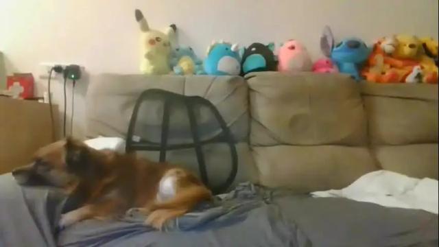 Image 12 of nikeair305 Stream on Chaturbate on 1 month ago