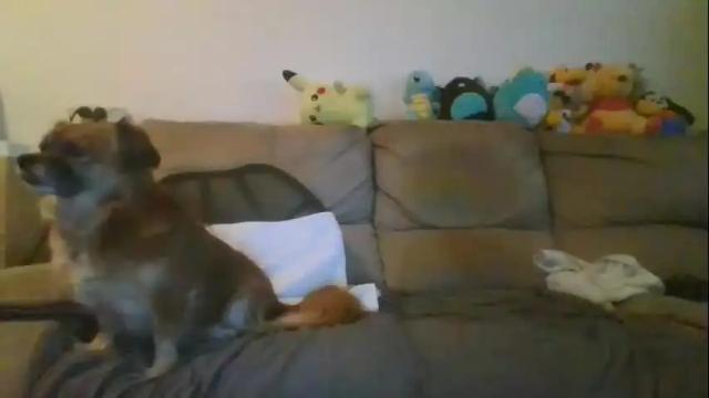 Image 6 of nikeair305 Stream on Chaturbate on 15 days ago