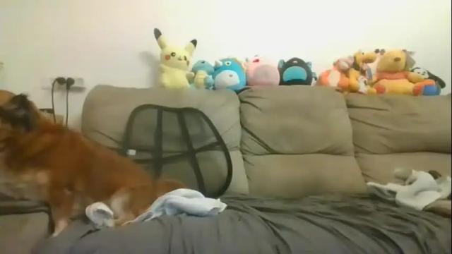 Image 6 of nikeair305 Stream on Chaturbate on 11 days ago