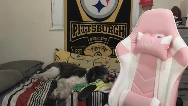Image 4 of nikkimasters1091 Stream on Chaturbate on 14 months ago