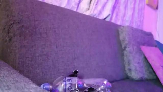 Image 11 of nikkyblush Stream on Chaturbate on 17 months ago