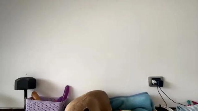 Image 12 of niky_bad Stream on Chaturbate on 17 months ago