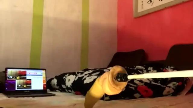 Thumbnail 2, ninfo_puta's Stream at Chaturbate, 16 months ago